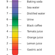 The Alkaline Mouth